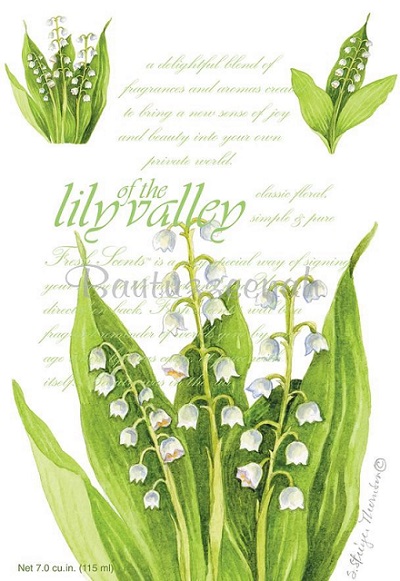 FRESH SCENTS LILY OF VALLEY